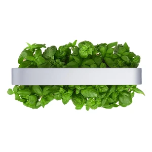 Набор для выращивания умного сада дома EDN SmallGarden с поддержкой Apple HomeKit и управлением поливом через Wi-Fi приложение | iPhone - Фото 4