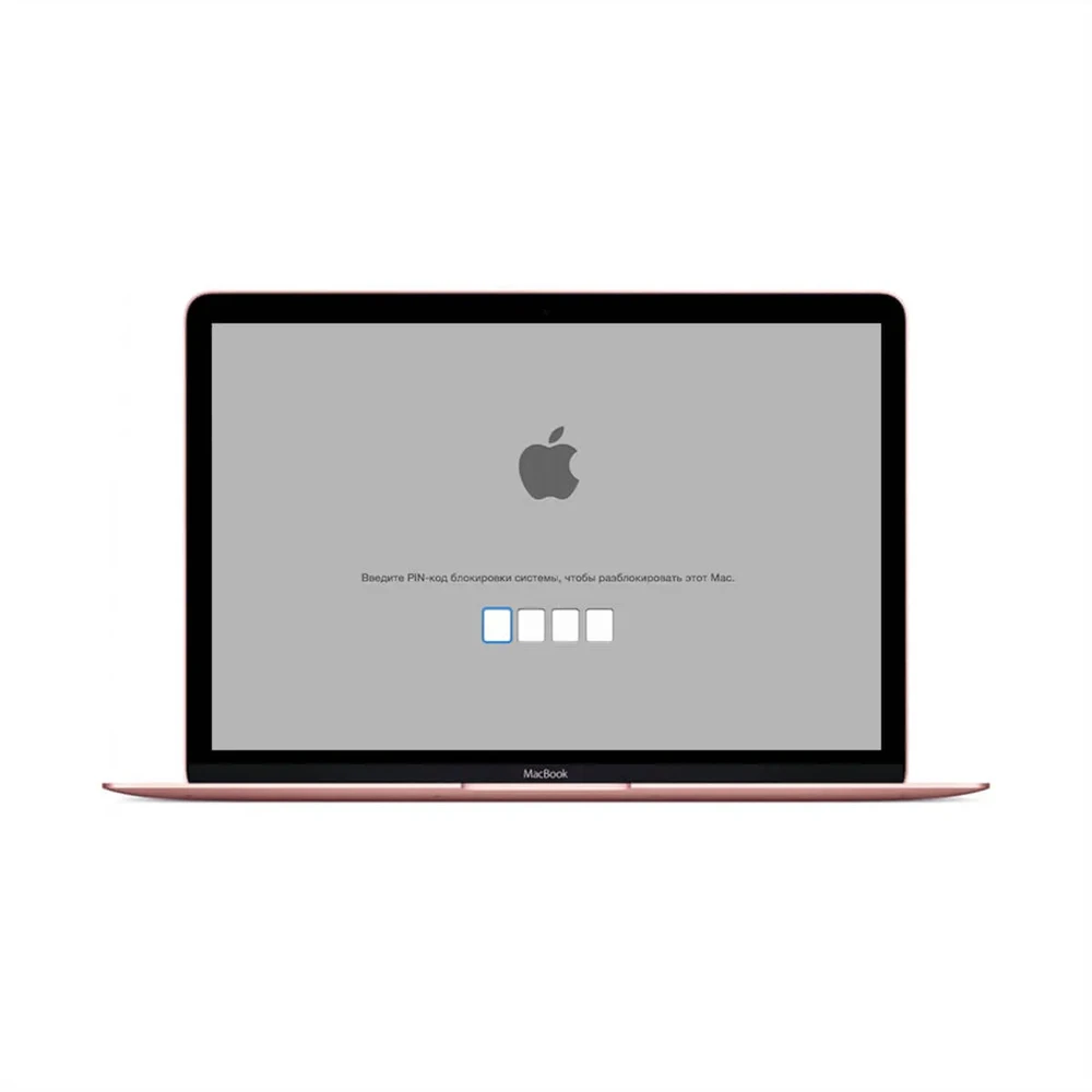Розблокування EFI MacBook 12"А1534