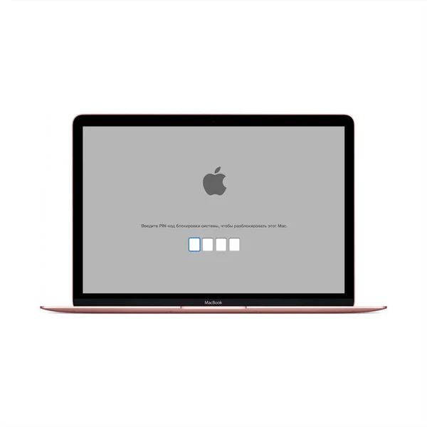 Снятие блокировки EFI MacBook 12" А1534