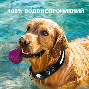 Нашийник для собак з чохлом для AirTag та підсвіткою, розмір S (30–39 см) | iLoungeMax TagCollar - Фото 3