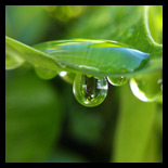 macro lens 10x фото macro lens 10x фото