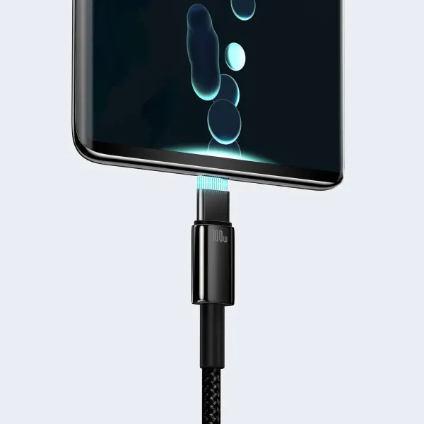 Зарядный кабель Baseus Tungsten Gold Fast Charging USB to USB width=