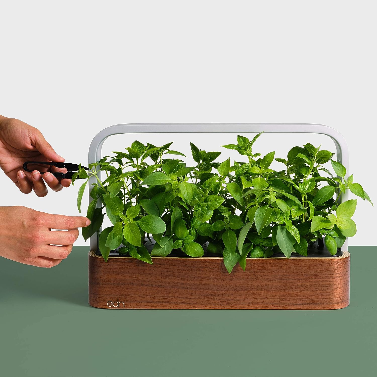 Умный сад ēdn Wi-Fi SmallGarden с поддержкой Apple HomeKit и автоматическим контролем освещения/полива