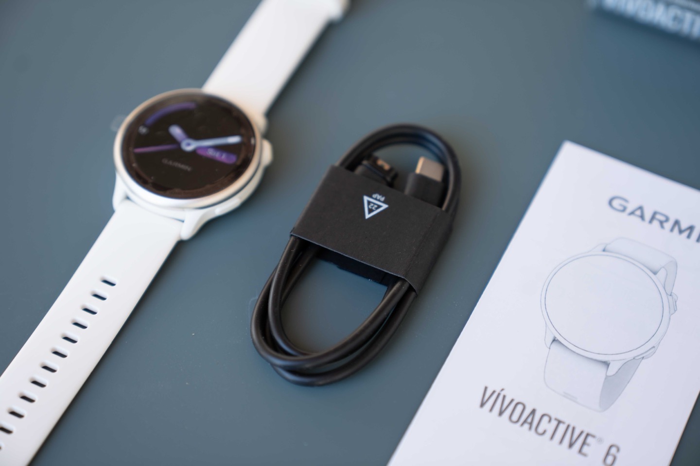 Смарт-годинник Garmin Vivoactive 6 Slate With Black Band 42mm
