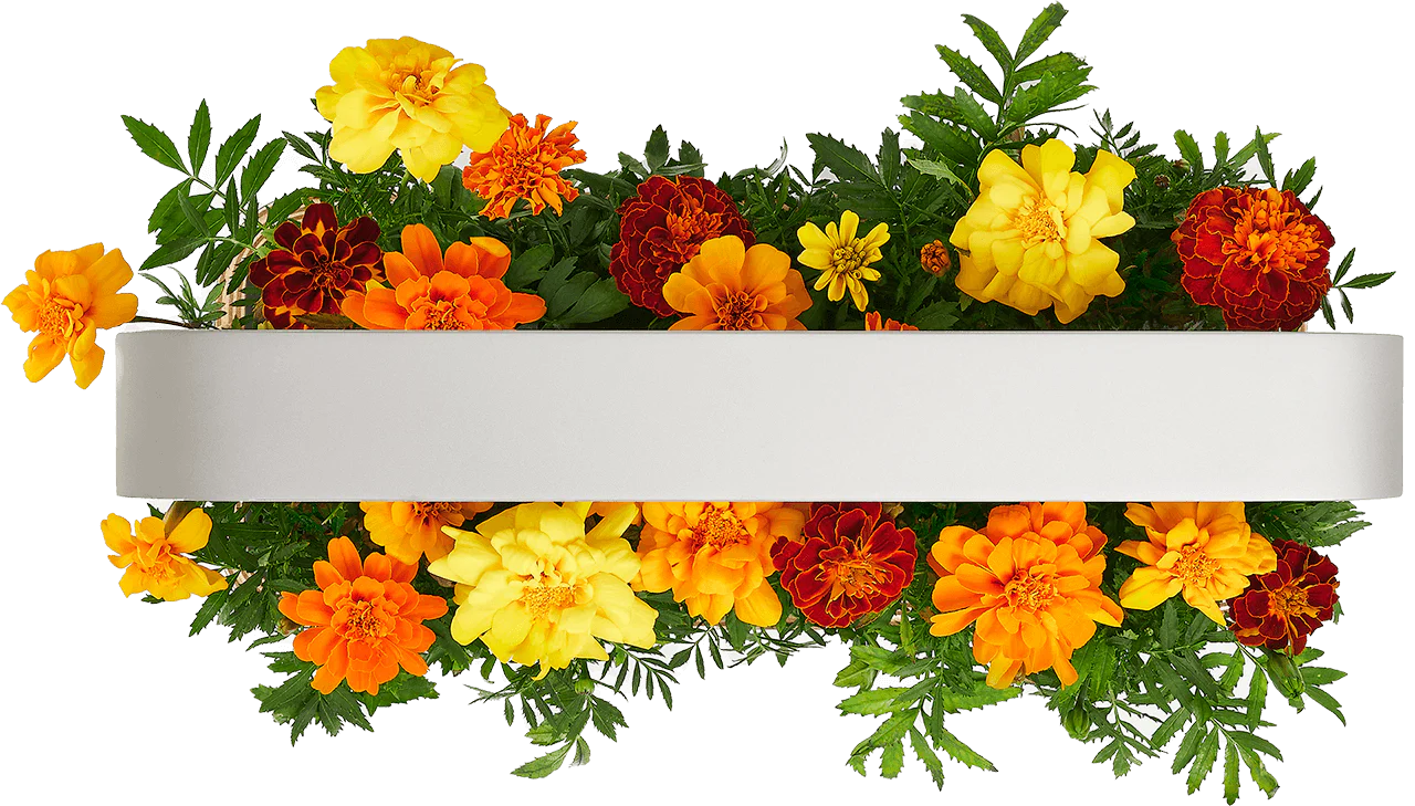 Умный сад ēdn SmallGarden с поддержкой Apple HomeKit и автоматическим контролем освещения/полива