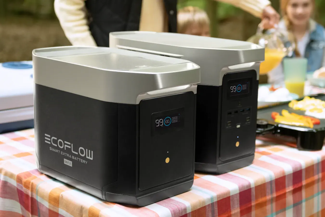 Портативная электростанция EcoFlow DELTA Max Portable Power Station Black 1600W цена