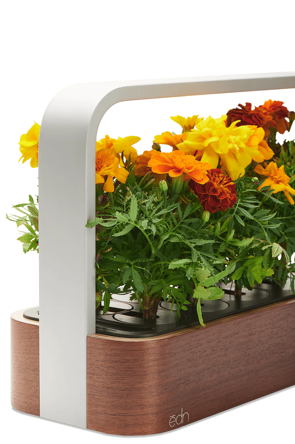 Умный сад ēdn Wi-Fi SmallGarden с поддержкой Apple HomeKit и автоматическим контролем освещения/полива