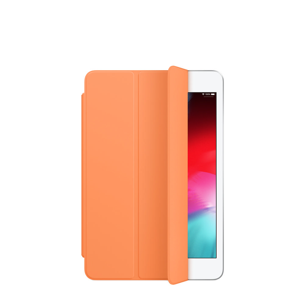 Чехлы для iPad mini 5 (2019) в iLounge
