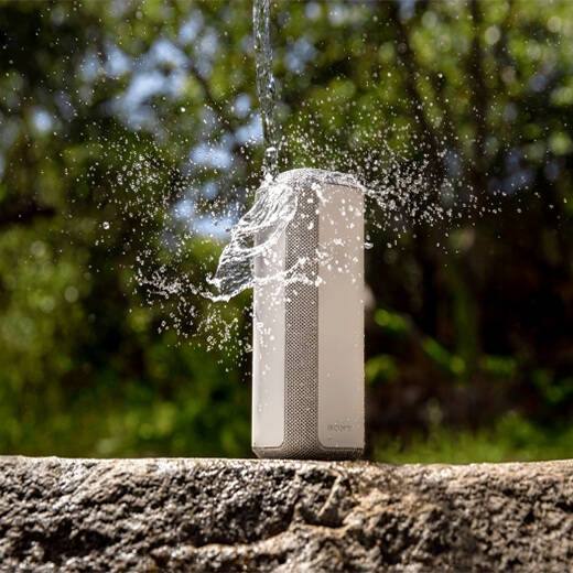 Портативна колонка Bluetooth Sony XE300 Portable Bluetooth Speaker Black
