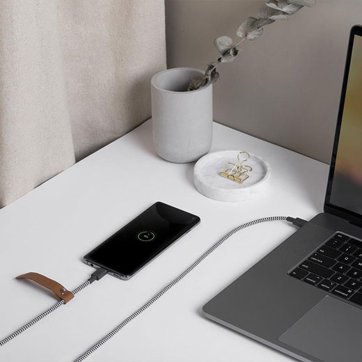 Зарядний кабель Native Union Belt Cable Zebra USB-C to Lightning 1.2 m для iPhone | iPad