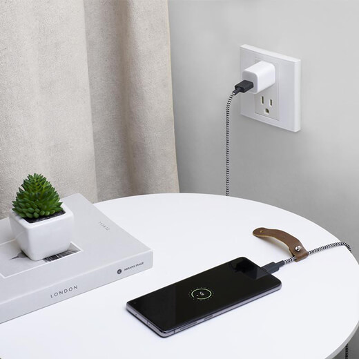 Зарядний кабель Native Union Belt Cable USB-C to USB-A 1.2m Zebra
