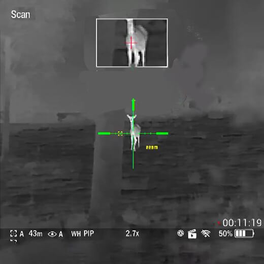 Тепловізор Thermal Vision Polaris 635R зображення в зображенні